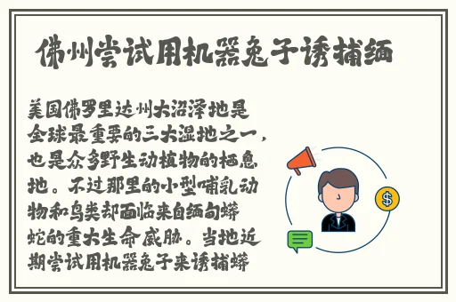 155.fun热点黑料